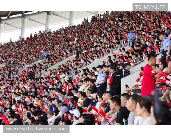 球迷文化受关注,赛场安全与观赛体验需平衡 球迷文化受关注,赛场安全与观赛体验需平衡